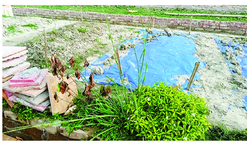 Image of মো: ইয়াহিয়া আলী